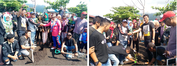 MENGHIJAUKAN PANTAI KOTA TERNATE DENGAN CAPILONG  (Calophyllum inophyllum)